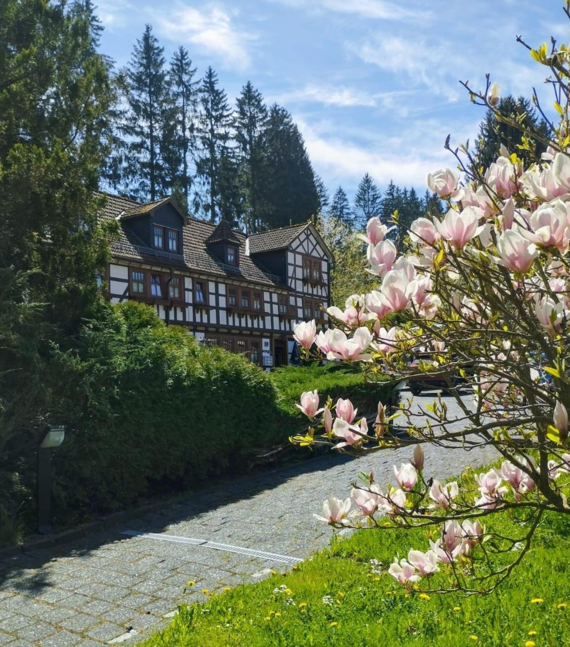 Pension Landhaus Machold Friedrichroda Esterno foto